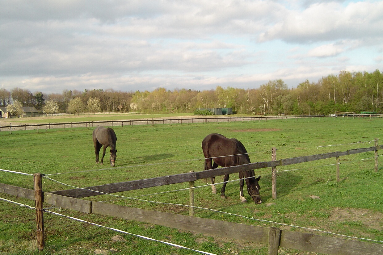 April 2004