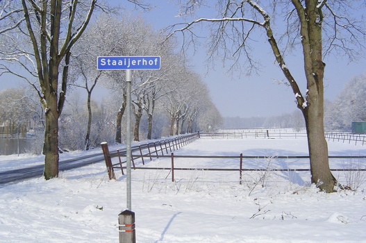 2004